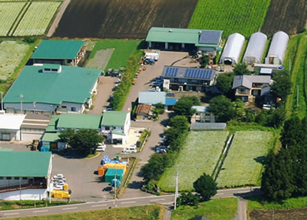 img-business-greenleaf01