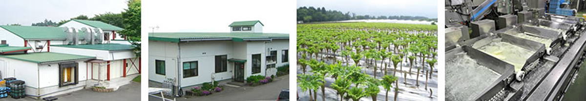 img-business-greenleaf02