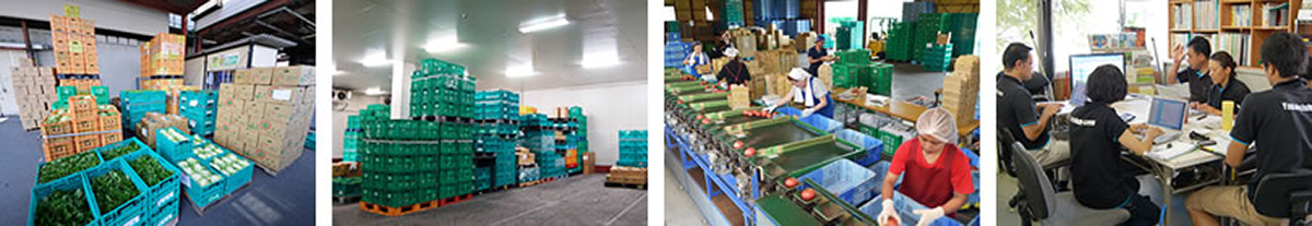 img-business-yasaiclub02